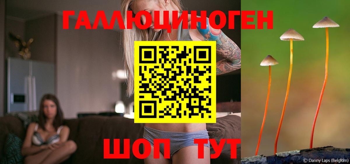 Галлюциногенные грибы Magic Shrooms  Псилоцибиновые грибы Psilocybine cubensis  Чайковский  Вход с VPN 
