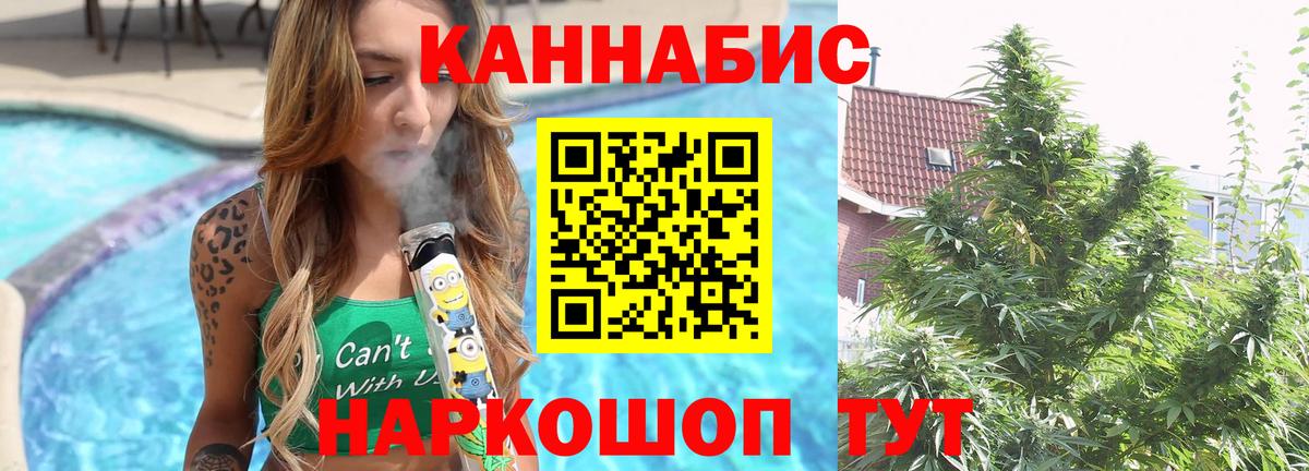 Бошки Шишки Bruce Banner  Вход с VPN  МАРИХУАНА THC 21%  Чайковский  Бошки Шишки Amnesia 